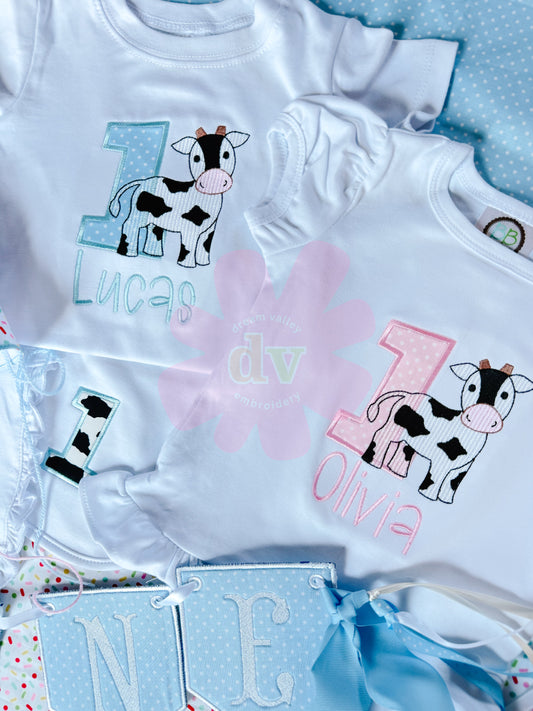 CUSTOM Birthday Shirt or Outfit (Boy or Girl customized to theme)