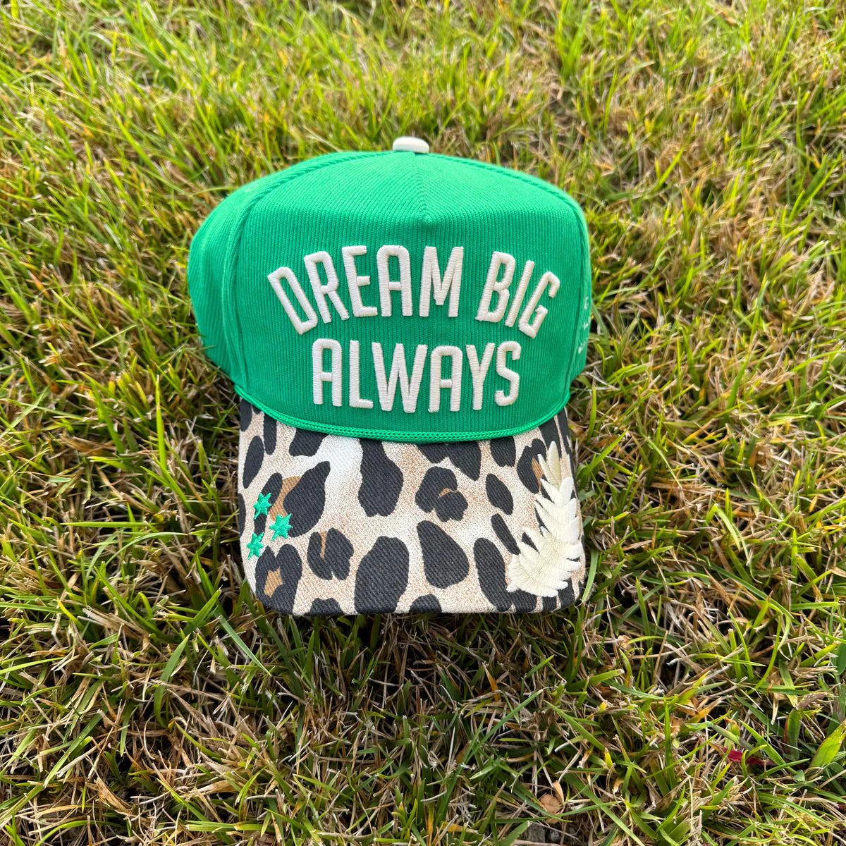 Dream Big Hat